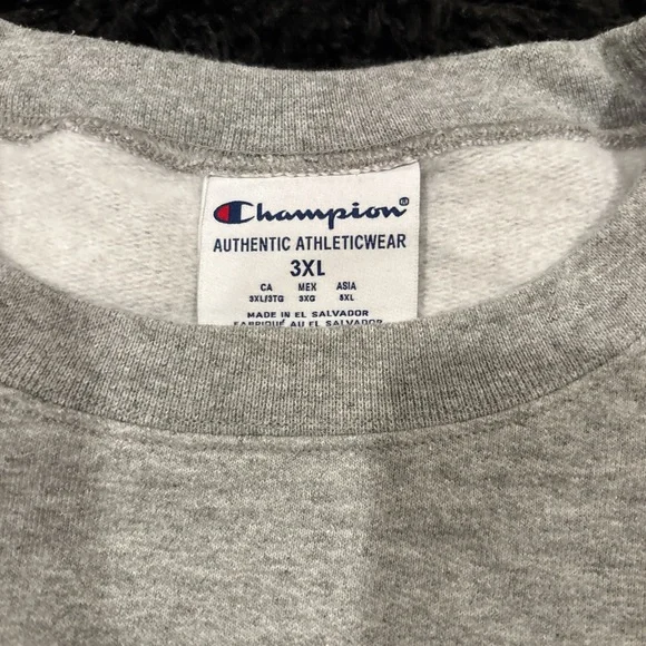 Champion Gray Montclair State Alumni Crewneck Sweater - Picture 2 of 3